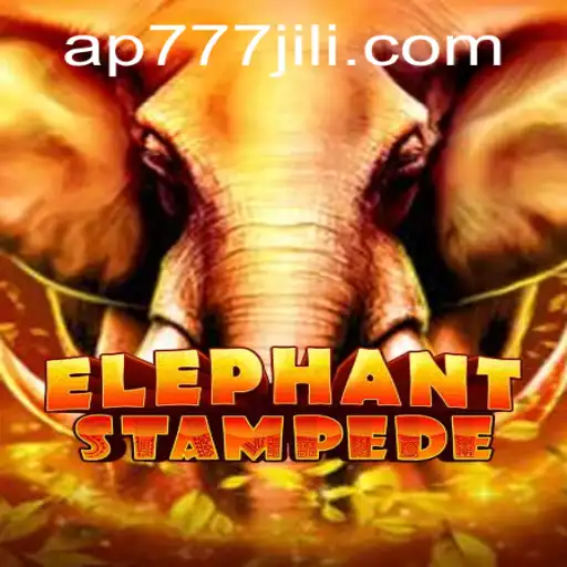 Stampede into Adventure with ElephantStampede